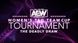 Night 3 Semi Finals – Watch AEW Womens Tag Team Cup Tournament 2020 8/17/20 – 17 August 2020